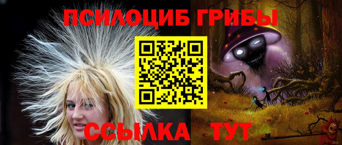 Галлюциногенные грибы Magic Shrooms  Псилоцибиновые грибы MAGIC MUSHROOMS  даркнет сайт  Калач-на-Дону  Вход с VPN 