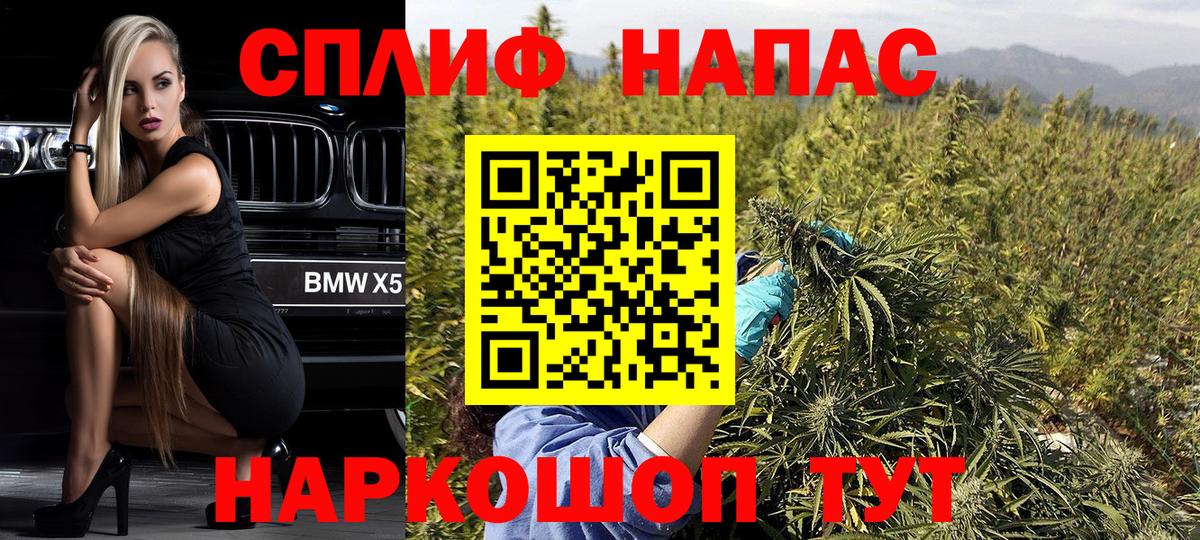 Шишки марихуана тримм  Вход с VPN  Каннабис планчик  Шишки марихуана MAZAR  Калач-на-Дону  МАРИХУАНА OG Kush 